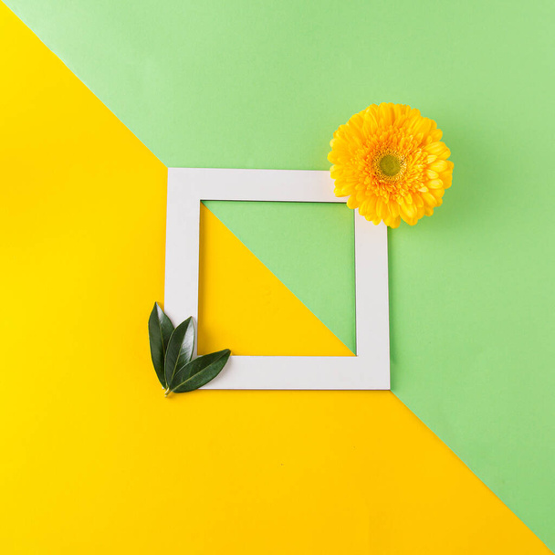 Concepto de primavera con marco de tarjeta y margarita amarilla y hojas verdes, sobre un fondo doble. Colocación plana natural mínima. - Foto, Imagen