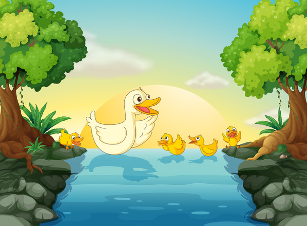 Ducks at the river - Vector, Image