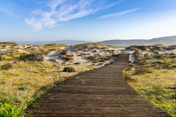 A long wooden boardwalk leading through sand dunes and marsh grass to a beautiful beach - Photo, Image
