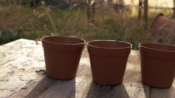 Fila di vasi d'impianto in un giardino  - Filmati, video