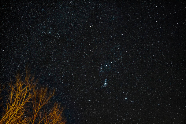 Ciel plein d'étoiles au-dessus de la Serbie - Photo, image