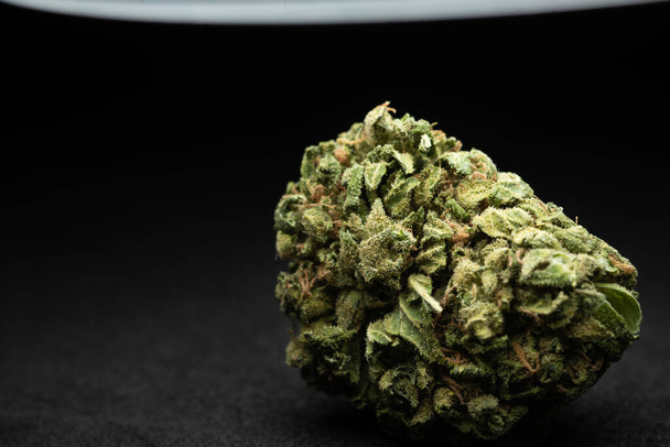 Macro close up retrato de Amnésia Cannabis Maconha Dry Buds, focu seletivo - Foto, Imagem