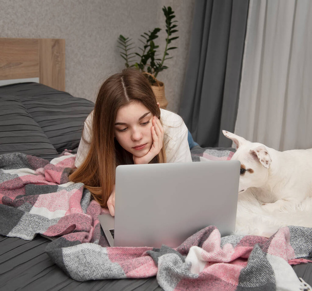 Una giovane ragazza studia online a casa. Ragazza sul letto con un computer portatile e un cane. - Foto, immagini