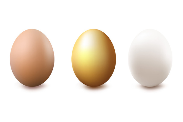 Brown, Golden And White Eggs - Vector, Imagen