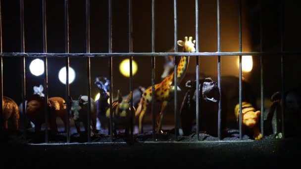 gruppo di animali all'interno della gabbia in miniatura. Animali selvatici nel concetto di zoo. Bruciare sfondo colorato. Focus selettivo - Filmati, video