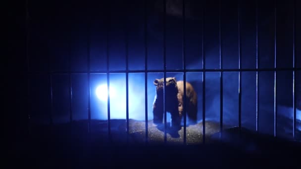 A medve miniatűr sziluettje áll az állatkerti ketrecben és szabadságról álmodik. Kreatív dekoráció színes háttérvilágítással ködben - Felvétel, videó