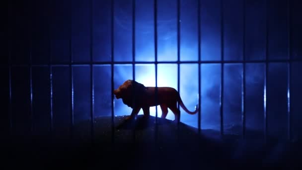 Silhouette di leone in miniatura in piedi in gabbia zoo sogni di libertà. Decorazione creativa con retroilluminazione colorata con nebbia - Filmati, video
