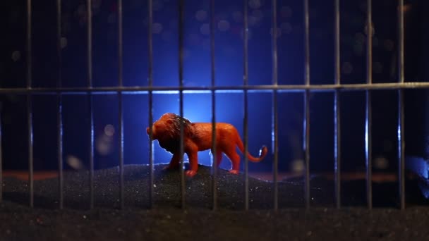 Silhouette di leone in miniatura in piedi in gabbia zoo sogni di libertà. Decorazione creativa con retroilluminazione colorata con nebbia - Filmati, video
