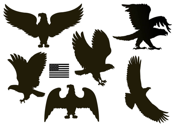 Illustration of American eagle and flag - Vector, Image