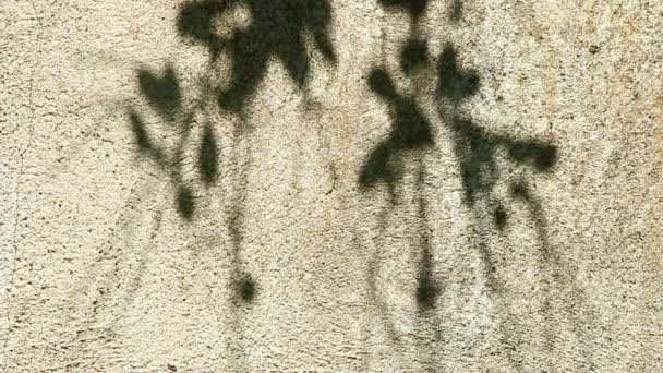 Deja sombra en la pared, al aire libre Chiangmai Tailandia - Metraje, vídeo