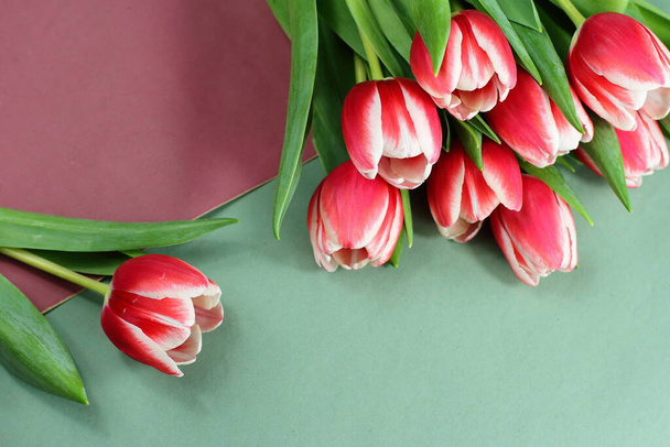 Tulipanes blancos rojos sobre fondo de papel verde púrpura, ramo rosa, fecha de cumpleaños día de la boda regalo de la madre 8 de marzo, tarjeta de felicitación de vacaciones  - Foto, imagen