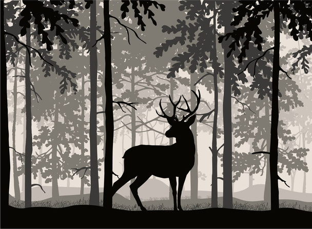 Cervo con corna in posa, sfondo della foresta, sagome di alberi. Paesaggio nebbioso magico. Illustrazione.  - Vettoriali, immagini