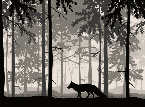 Αλεπού που αναρωτιέται, φόντο δάσους, σιλουέτες δέντρων. Μαγικό ομιχλώδες τοπίο. Εικονογράφηση.  - Διάνυσμα, εικόνα