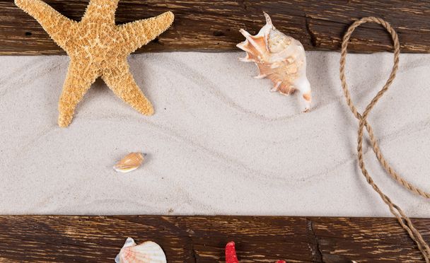 Summer concept with old paper and sea shells - Foto, Bild