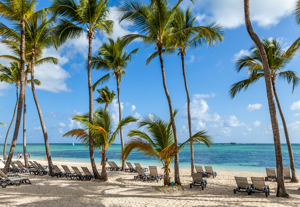 luksusowy ośrodek plaży w punta cana, Dominikana - Zdjęcie, obraz