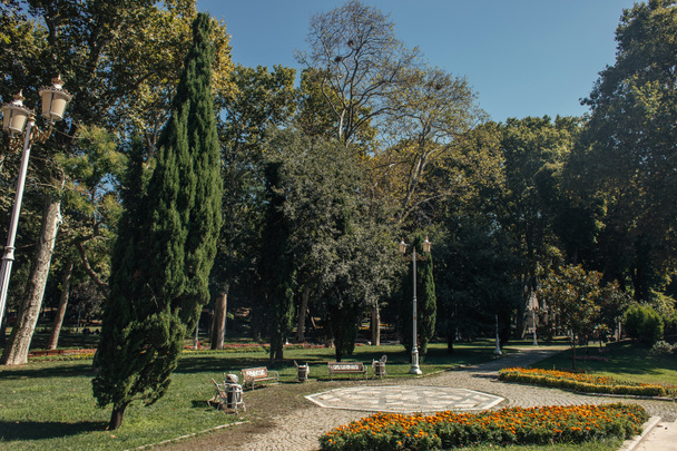 Цветы на клумбе возле деревьев и скамеек в парке - Фото, изображение