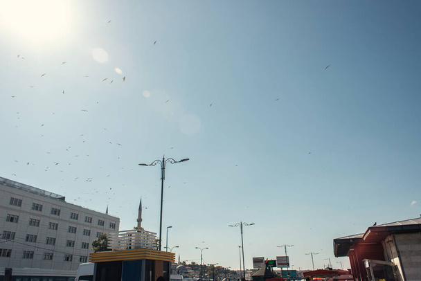 Χαμηλή γωνία άποψη των πτηνών που πετούν στον ουρανό πάνω από αστικό δρόμο στην Κωνσταντινούπολη, Τουρκία  - Φωτογραφία, εικόνα