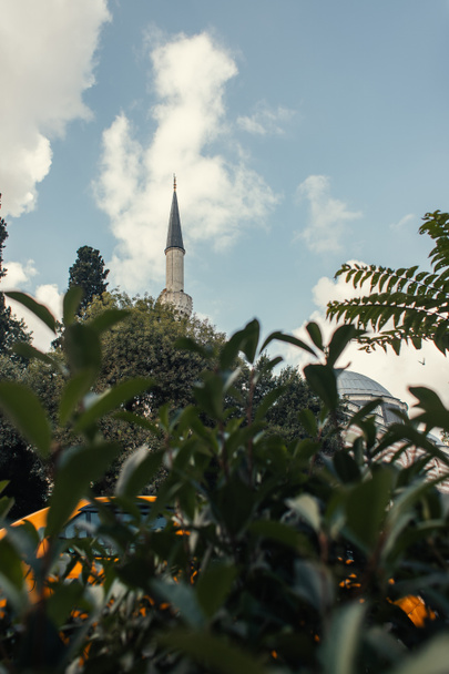 A Mihrimah szultán mecset és növény teteje és oszlopa elmosódott előtérben, Isztambul, Törökország  - Fotó, kép