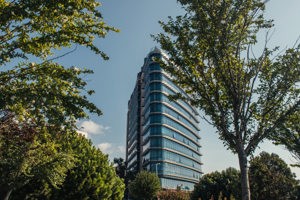 Building with glass facade near trees on street in Istanbul, Turkey  - Photo, Image