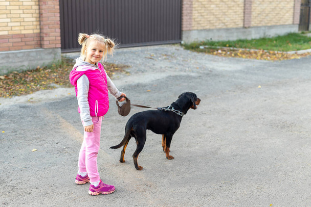 bonito adorável pouco loiro caucasiano criança menina andando com alemão terrier cão coleira no dia ensolarado. Animal doméstico animal de estimação criança melhor amigo. Estilo de vida saudável das crianças - Foto, Imagem