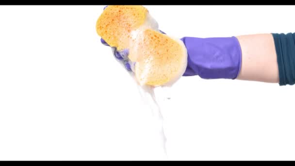 Woman squeezing foam from sponge in bucket on white background - Footage, Video