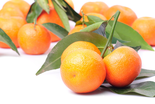 Tangerines isolated on white - Foto, afbeelding