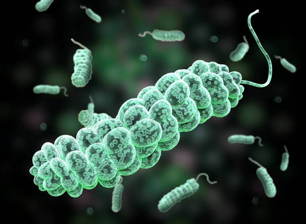 Ilustração 3D de um grande número de bactérias E coli. Esta é a forma das bactérias. é categoria tipo varas flageladas. E coli Bactérias. - Foto, Imagem