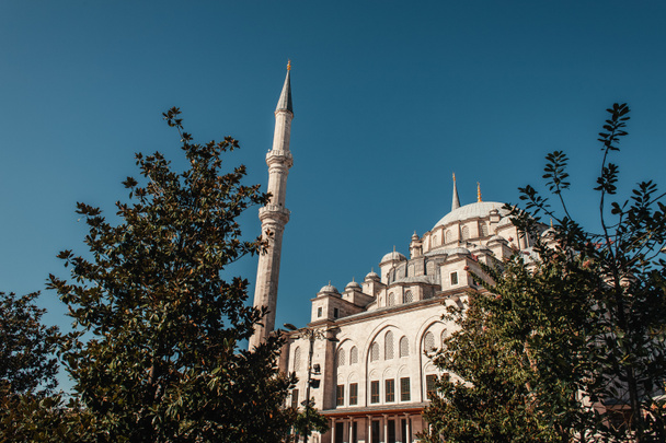 groene bomen bij Mihrimah Sultan Moskee tegen heldere hemel, Istanbul, Turkije - Foto, afbeelding