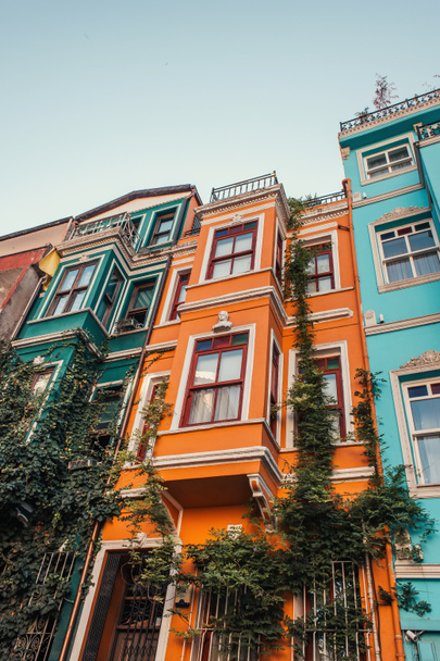 άποψη χαμηλής γωνίας των πολύχρωμων κτιρίων με πράσινο κισσό σε Balat, Κωνσταντινούπολη, Τουρκία - Φωτογραφία, εικόνα