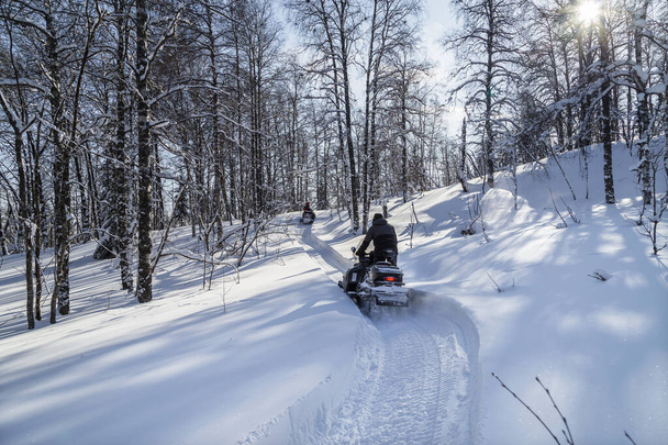 Αθλητής σε ένα snowmobile κινείται στο δάσος του χειμώνα στα βουνά των νότιων Ουραλίων. - Φωτογραφία, εικόνα