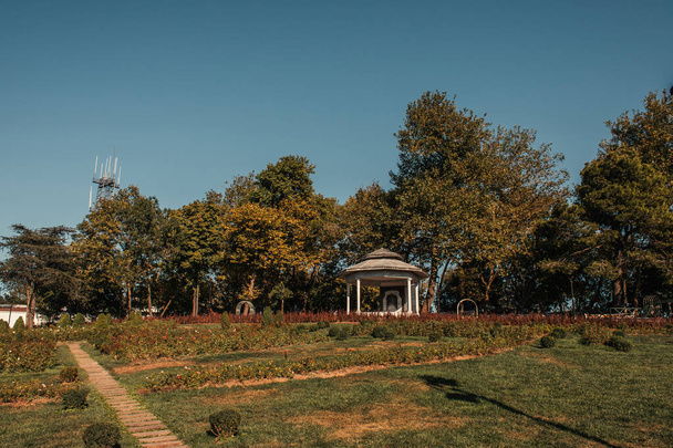Rasenrasen und Rotunde im Schatten hoher Bäume im Park  - Foto, Bild