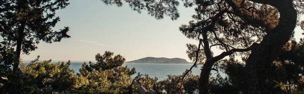Meereslandschaft von einem Hügel mit alten, grünen Kiefern, Banner - Foto, Bild