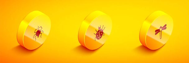 Set Isometric Spider, Mite and Dragonfly icon. Vector. - Vector, Image