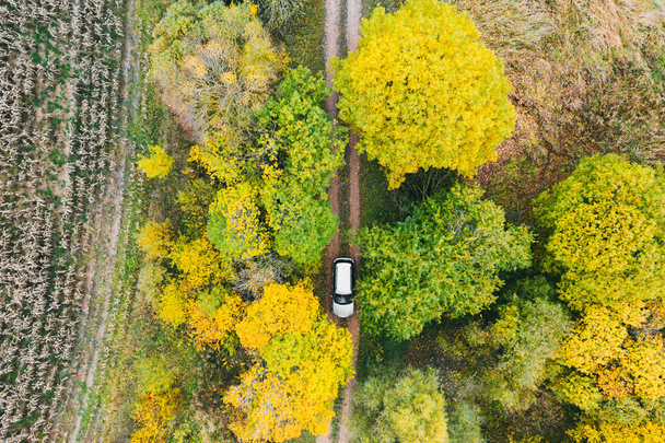 Letecký pohled na auto projíždějící lesem na venkovské silnici - Fotografie, Obrázek