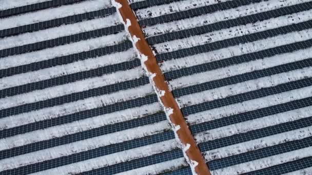 Zdjęcia lotnicze setki modułów lub paneli słonecznych w rzędach wzdłuż śnieżnych terenów zimą - Materiał filmowy, wideo