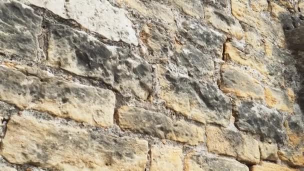 Αρχαίος μουχλιασμένος πέτρινος τοίχος με φθαρμένη επιφάνεια - Πλάνα, βίντεο