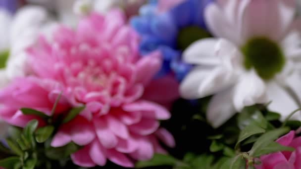 Leuchtender, üppiger Strauß bunter Chrysanthemen, Orchideen, Gänseblümchen. Zoom - Filmmaterial, Video