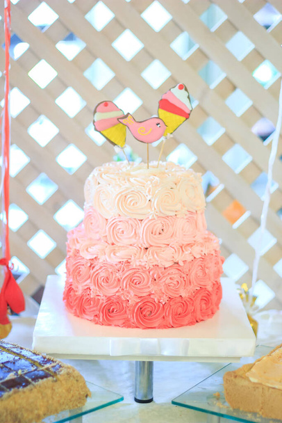 Narozeninový dort pro dívku na její narozeniny - Fotografie, Obrázek