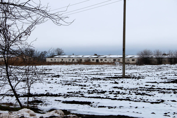 Old abandoned farm, snowy field and the electric lines - Photo, Image