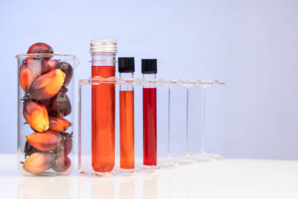 Rode kleur ongeraffineerde palmolie en vruchten met bekerglas reageerbuis in laboratorium - Foto, afbeelding