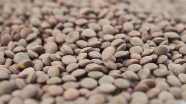 Organic dry uncooked lentils fall into a pile in slow motion. Macro shot - Footage, Video