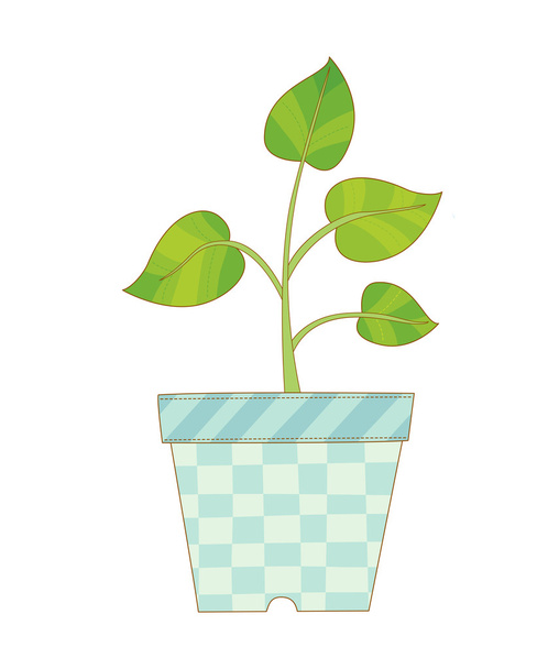 Plant in pot - Vector, Image