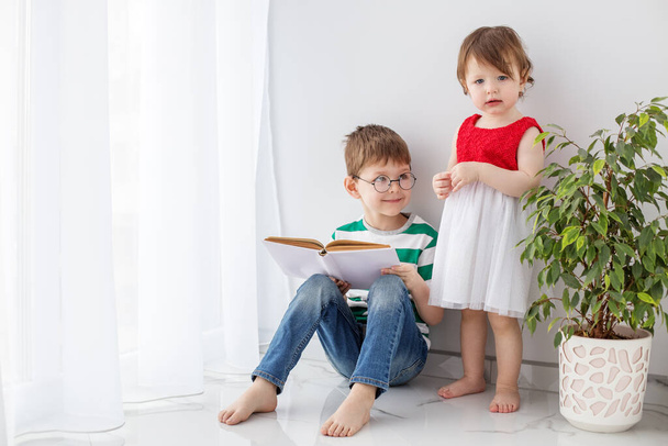Little boy and girl spend their leisure time together, reading a book, in a bright room next to a house plant. - Photo, Image