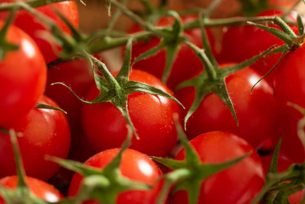 Kypsä tuore kirsikka tomaatti viiniköynnöksen makro lähikuva ammuttu. - Valokuva, kuva