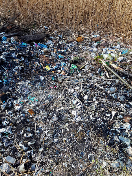 Spálené hromady odpadků opuštěné v lese - Fotografie, Obrázek