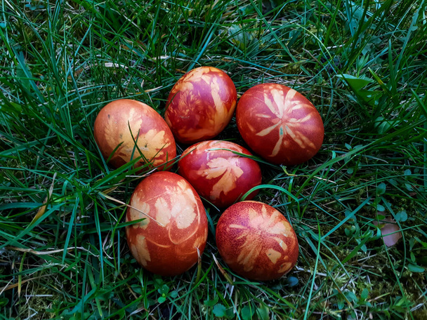 Huevos de Pascua Decorado con plantas naturales y flores y Hervido en Cebollas Cáscaras en hierba verde. Forma tradicional de crear un patrón de plantas en huevos marrones - Foto, Imagen