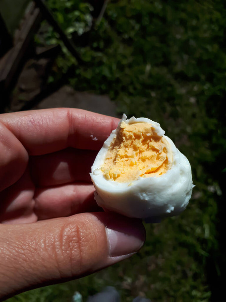 Mano de mujer sosteniendo medio huevo duro mordido con yema de color amarillo claro visible en la naturaleza. Snack saludable al aire libre - Foto, Imagen