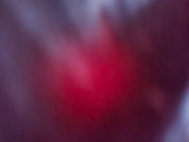 Μαλακό και φωτεινό ροζ, κόκκινο και μοβ ρομαντικό χρώμα σκοπίμως θολό φόντο. Χρώματα του Αγίου Βαλεντίνου. Ομαλό και θολό φόντο σχήμα καρδιάς - Φωτογραφία, εικόνα