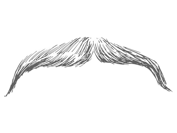 moustache - Vektor, obrázek