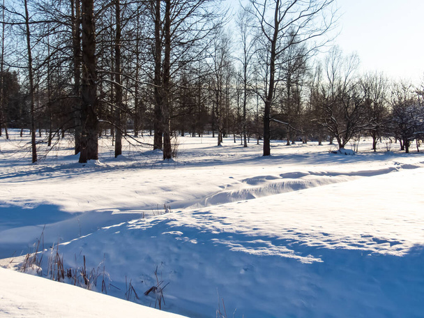 Blick auf Wiese und Graben im Park nach Schneefall an einem sonnigen Tag. Der Wind wehte Schnee. Inspiration für den Wintertag - Foto, Bild